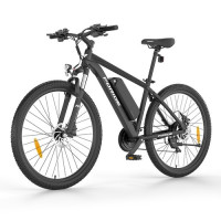 Електричний велосипед Foride Xtremer 2, двигун 250 Вт, акумулятор 36 В 15,6 Аг