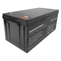 Літієва акумуляторна батарея HANIWINNER HD009-12 12,8 В 200 А*год LiFePO4