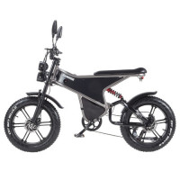 Електричний велосипед RANDRIDE DM711, двигун 1000 Вт*2, акумулятор 48 В 20 Аг