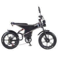 Електричний велосипед RANDRIDE DM711, двигун 1000 Вт*2, акумулятор 48 В 20 Аг