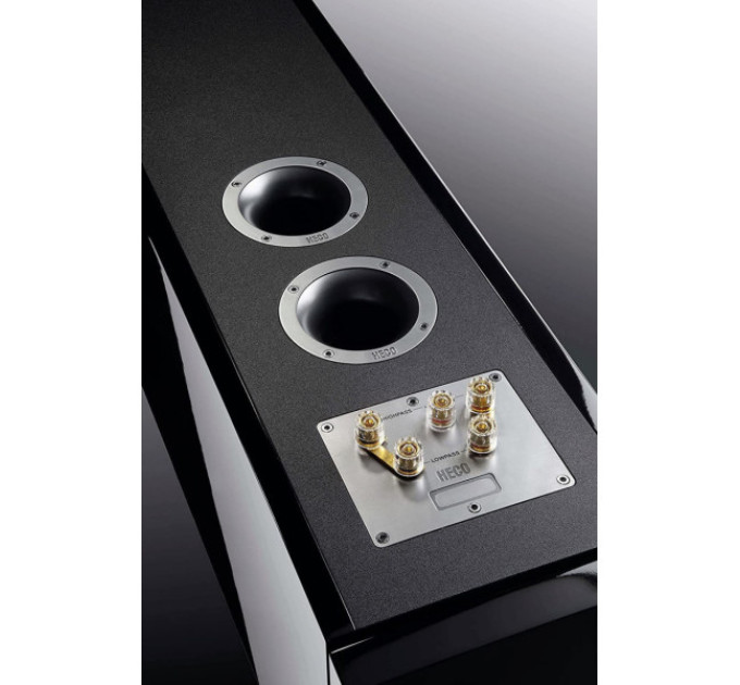 Підлогова акустика Heco Aleva GT 602 Anniversary piano black (1шт)