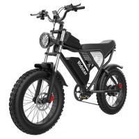 Електричний велосипед Ridstar Q20, безщітковий двигун 1000 Вт, знімний акумулятор 48 В 20 Аг