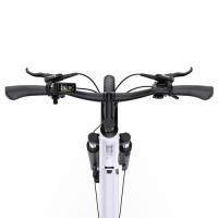 Електричний велосипед ONESPORT OT07, 250 Вт, акумулятор 36 В, 14 Аг - білий