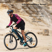 Електричний велосипед Foride Xtremer 3, двигун 250 Вт, акумулятор 48 В 12 Аг