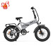 Складний електровелосипед PVY Z20 Plus 1000W 48V 16.5Ah акумулятор - сірий