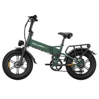 Електричний велосипед PULUMA PE500, двигун 2*500 Вт, акумулятор 48 В 17,5 Аг