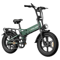 Електричний велосипед PULUMA PE500, двигун 2*500 Вт, акумулятор 48 В 17,5 Аг