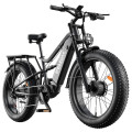 Електричний велосипед FENGQS H6PRO, двигун 1000 Вт*2, акумулятор 52 В 17,5 Аг - сірий