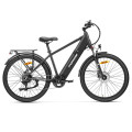 Електричний велосипед Foride Roamer 1 Step-over, двигун 250 Вт, акумулятор 36 В 13 Аг