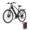 Електричний велосипед DUOTTS C29 Lite, двигун 250 Вт, акумулятор 36 В 13 Аг