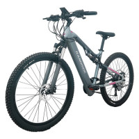 Електричний велосипед RANDRIDE YG90A, двигун 1000 Вт, максимальна швидкість 45 км/год, 48 В, 17 Аг