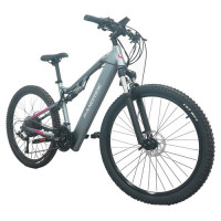 Електричний велосипед RANDRIDE YG90A, двигун 1000 Вт, максимальна швидкість 45 км/год, 48 В, 17 Аг