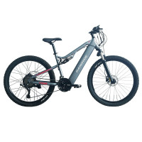 Електричний велосипед RANDRIDE YG90A, двигун 1000 Вт, максимальна швидкість 45 км/год, 48 В, 17 Аг