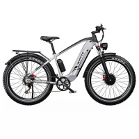 Електричний велосипед DUOTTS F26 Lite, двигун 500 Вт, акумулятор 48 В 18 Аг