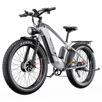 Електричний велосипед DUOTTS F26 Lite, двигун 500 Вт, акумулятор 48 В 18 Аг