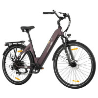 Електричний велосипед TTGO C3 SE, двигун 250 Вт, акумулятор 36 В 18 Аг - фіолетовий
