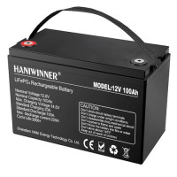 Літієва акумуляторна батарея HANIWINNER HD009-10 12,8 В 100 Ач LiFePO4