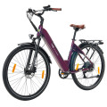 Електричний велосипед TTGO C3 Pro, двигун 250 Вт, акумулятор 36 В 20 Аг - червоний